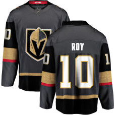 Youth Vegas Golden Knights #10 Nicolas Roy Alternate Breakaway Gray Jersey