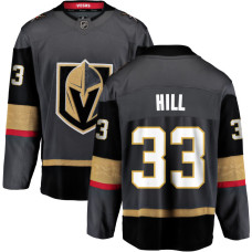 Vegas Golden Knights #33 Adin Hill Alternate Breakaway Gray Jersey