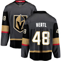 Vegas Golden Knights #48 Tomas Hertl Alternate Breakaway Gray Jersey Vegas Golden Knights #48 Tomas Hertl Alternate Breakaway Gray Jersey